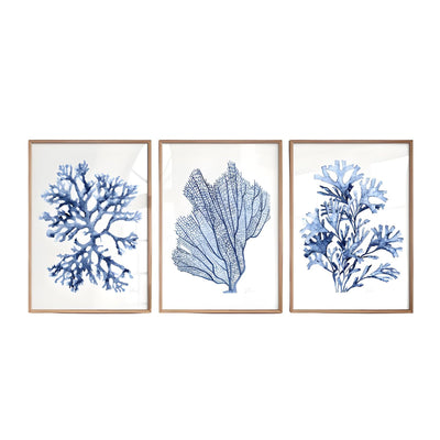 Premium Home Decor Wandkunst 3 Stück Korallen Seetang Botanisches Poster Marineblau Aquarell